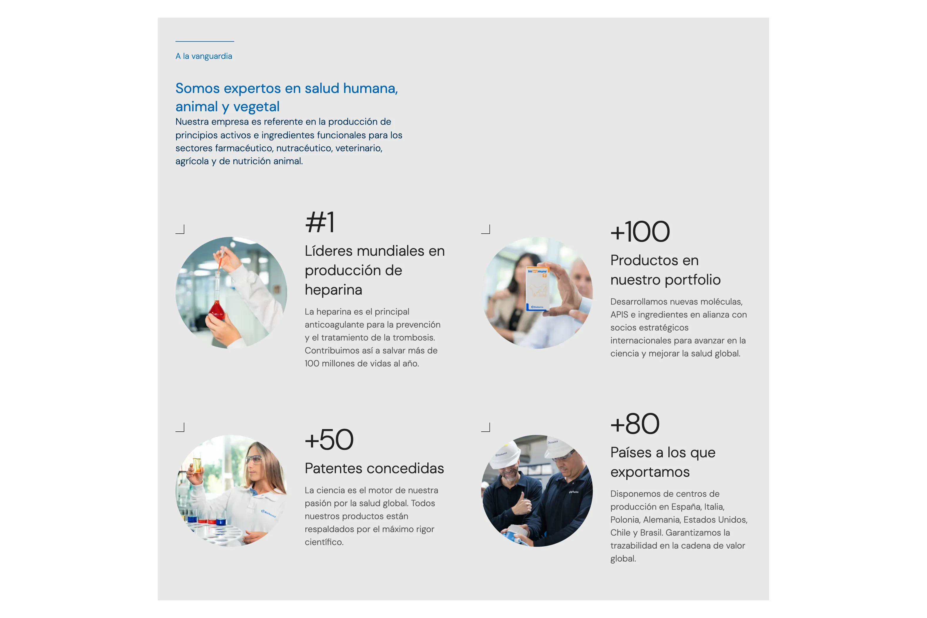 Bloque «A la vanguardia» con cuatro cifras ilustradas con fotos circulares: líderes mundiales en heparina, más de 100 productos, más de 50 patentes y más de 80 países